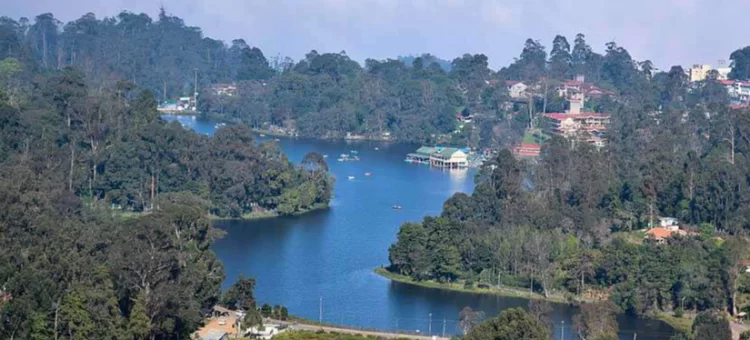 kodaikanal-715.webp