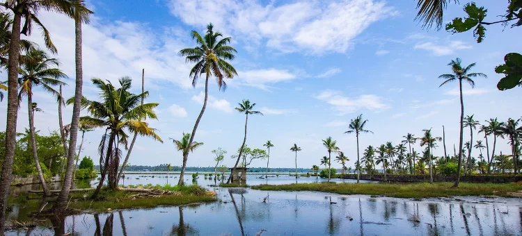 kumarakom-246.webp