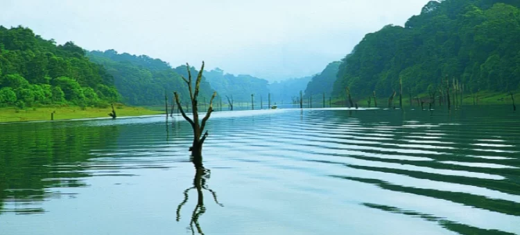 thekkady-190.webp