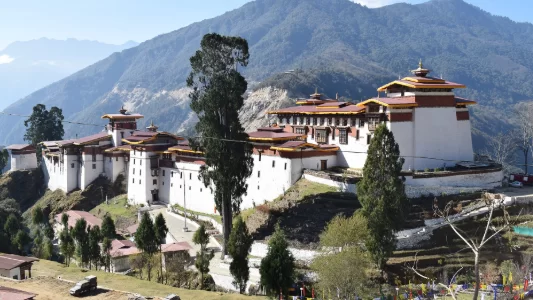 Dynamic Bhutan