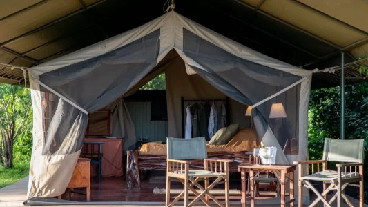 Kenya Governors Camp Luxury Safari by Air Honeymoo