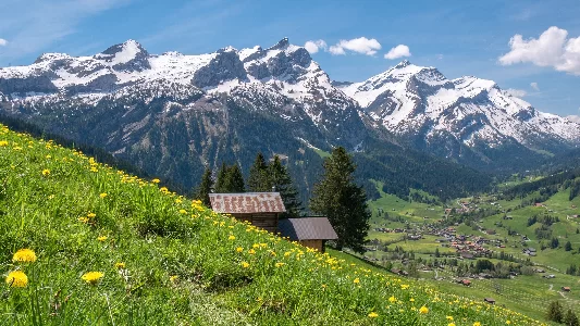 Swiss All Stay in one Apartment Value for Money